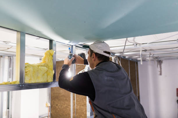Professional Insulation Contractor in Libertyville, IL